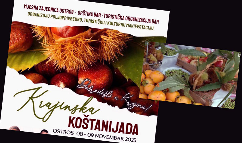 kostaniii