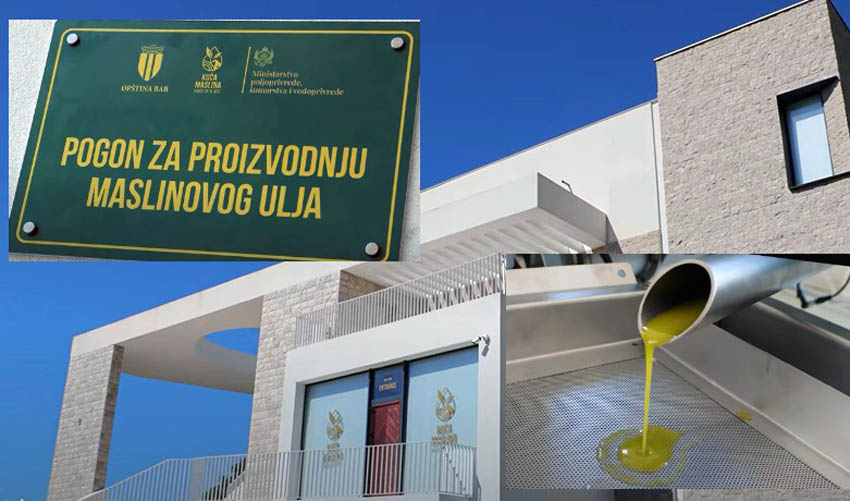 pogon oil