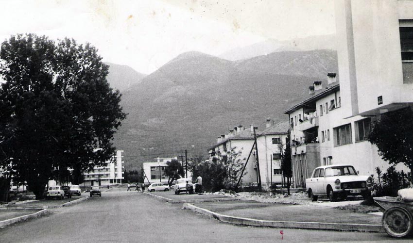 stara topolic