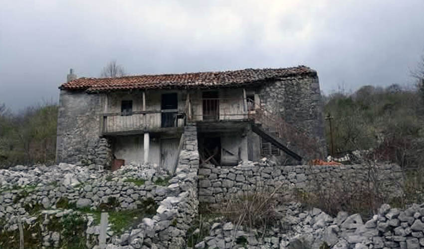 kraja zijo 1