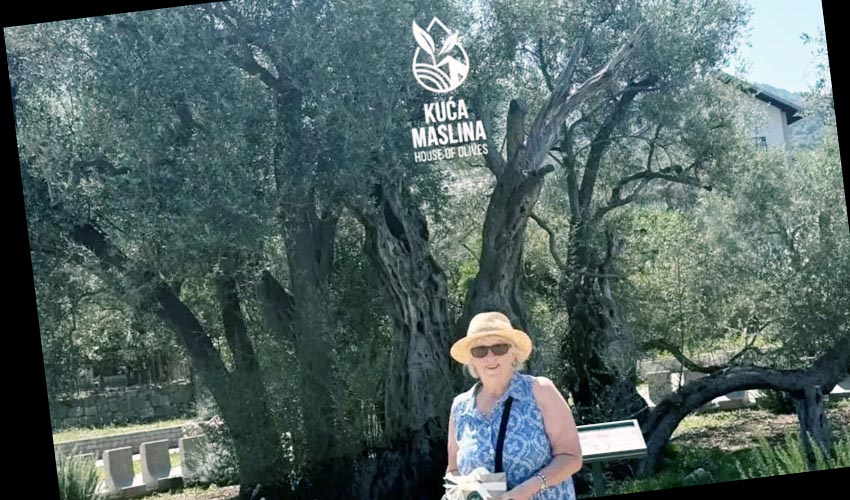 Turistkinja