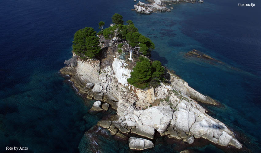otok katicc