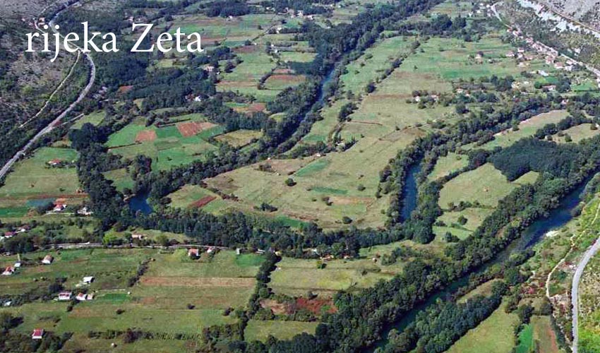 zzetta