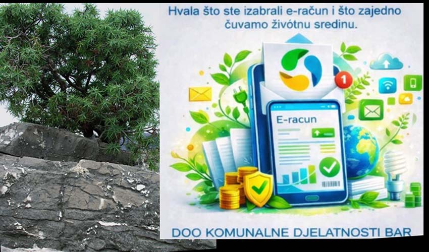 kom delll