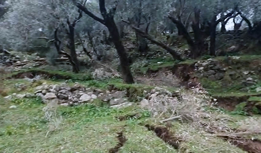 kanal maslinade 1