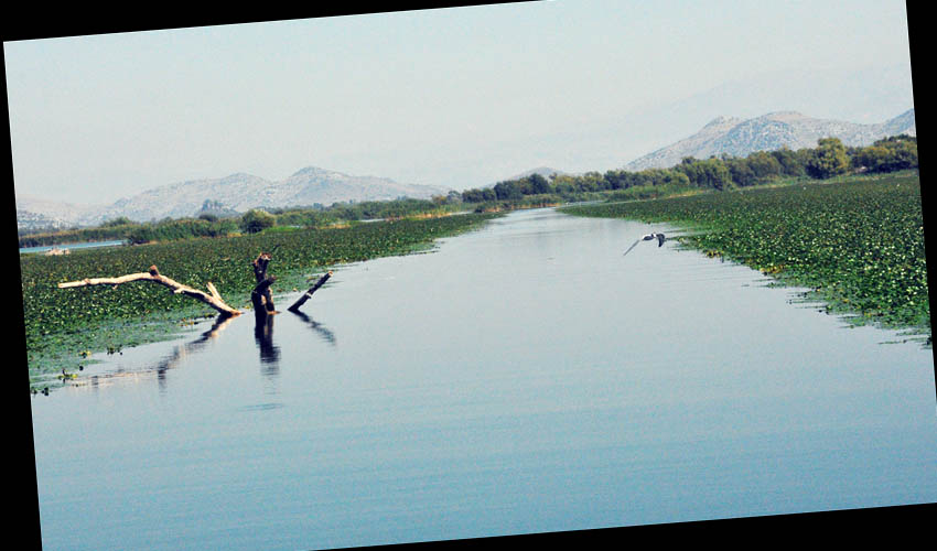 jezero put