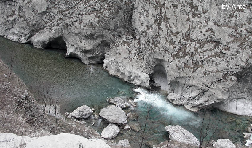 voda morace
