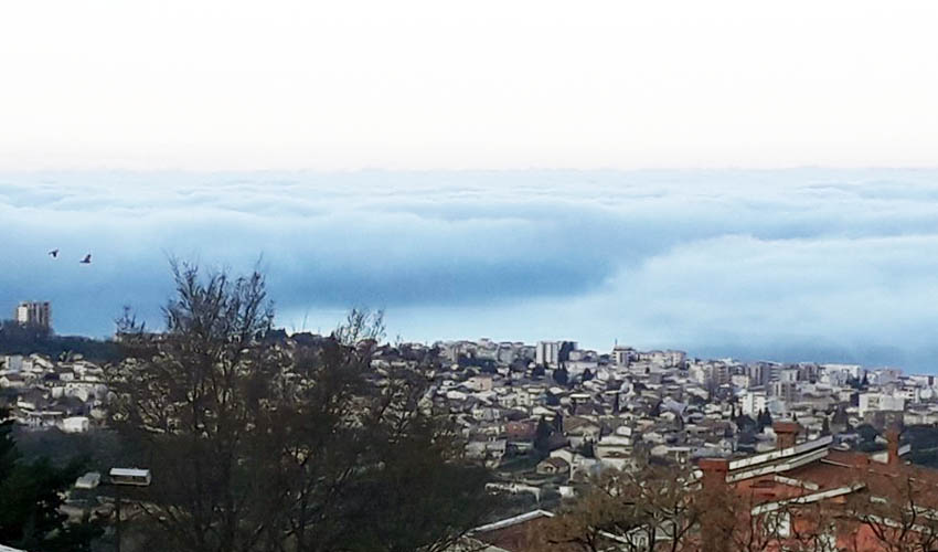 pogled