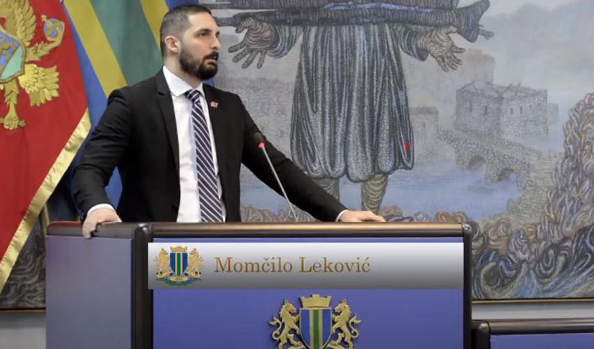 lekovic momo