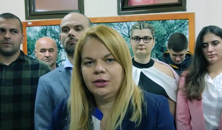 vukcevic maja df