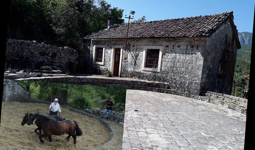 plamenac guvno