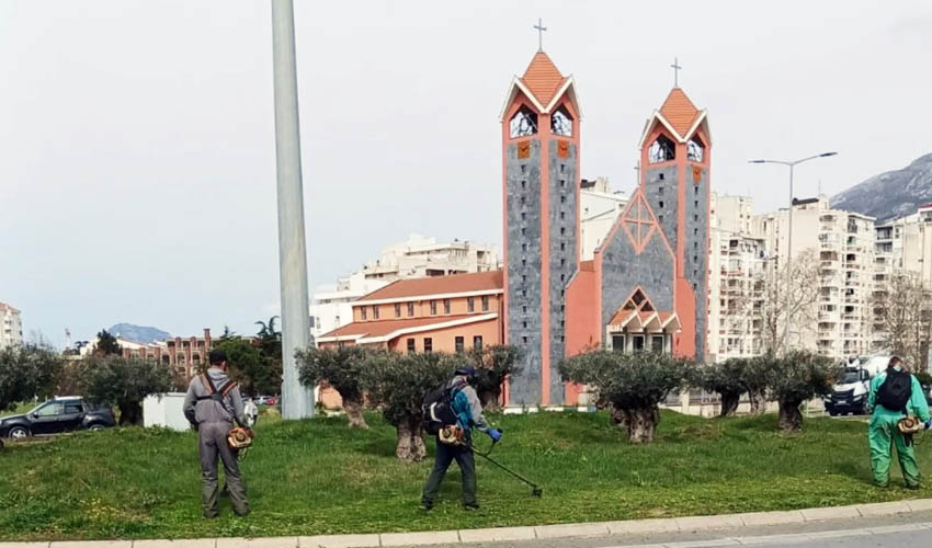 zeleno