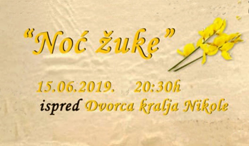 noc zuke