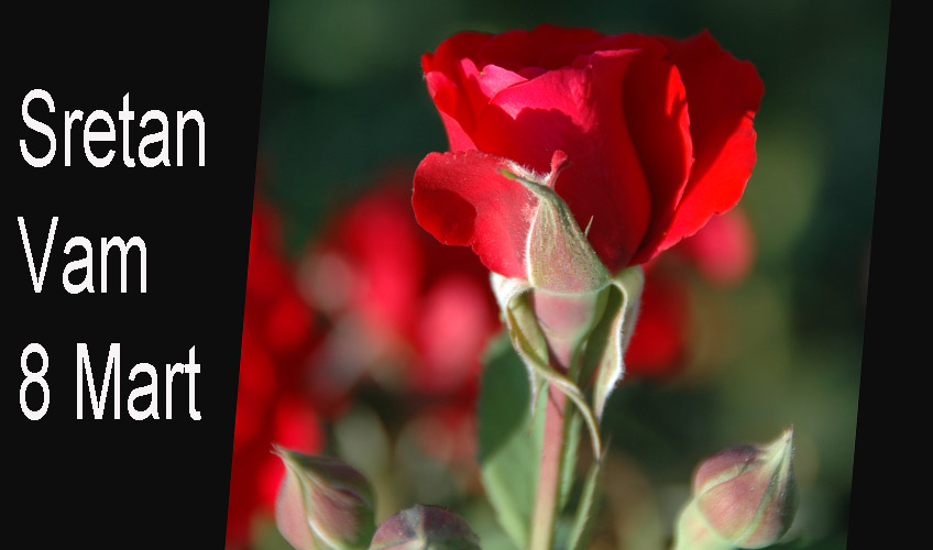 8 mart