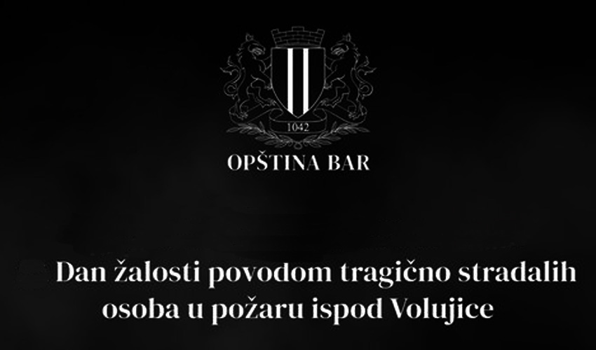 dan žžžž