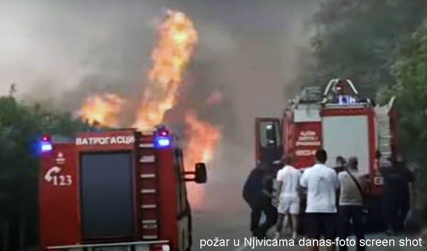 nivic