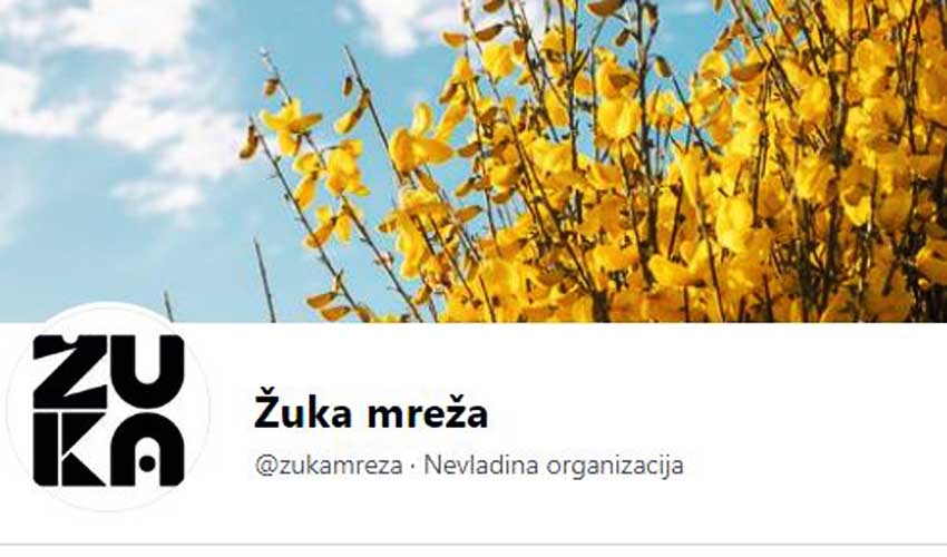 žuk mreža