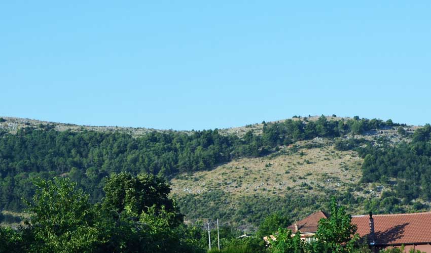 volujica a