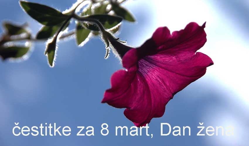 za dame