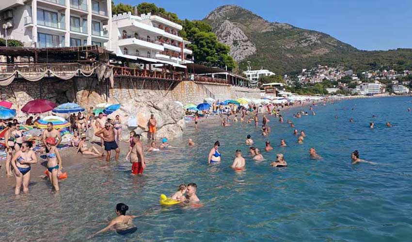 plas sut