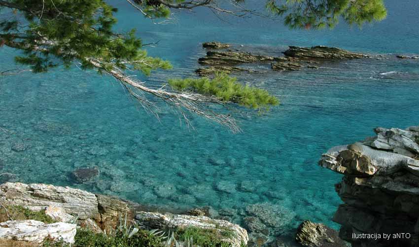 mediteranN