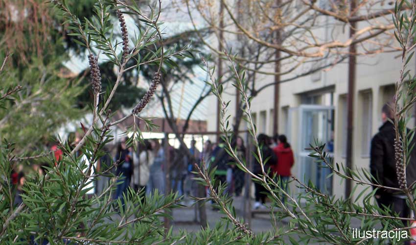 skola yu