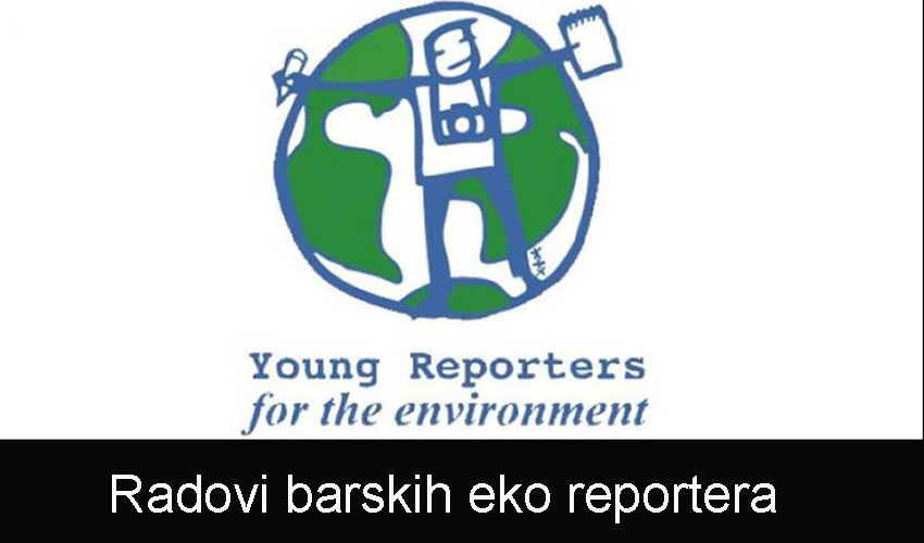 eko rep