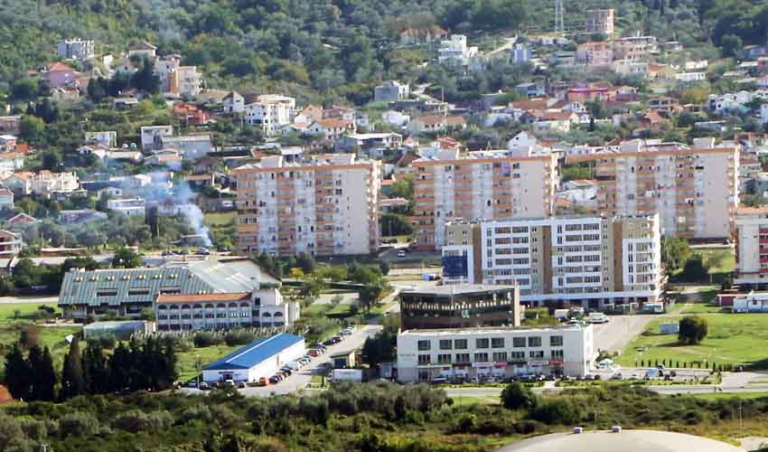 buvljakk