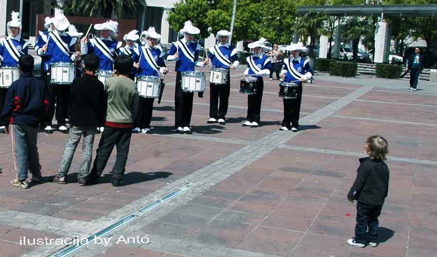trg festa