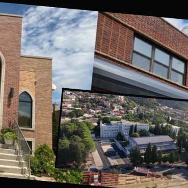 Akcija dijaspore u Čikagu