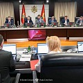 vladdda cg
