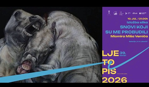 snovi art