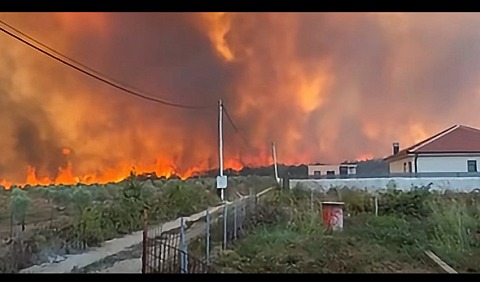briskka gori