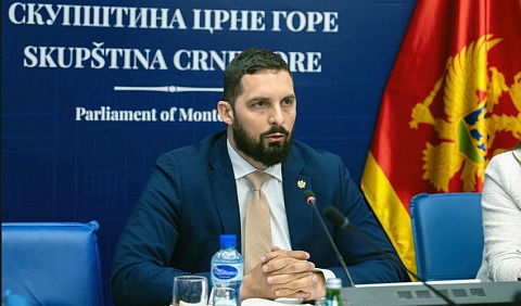 Momo Lekoviccc