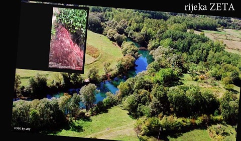zeta krvava
