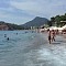 talasicci